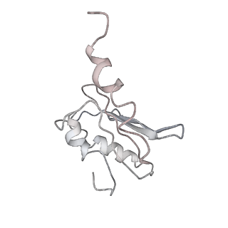 0104_6gzx_N1_v1-0
T. thermophilus hibernating 100S ribosome (ice)