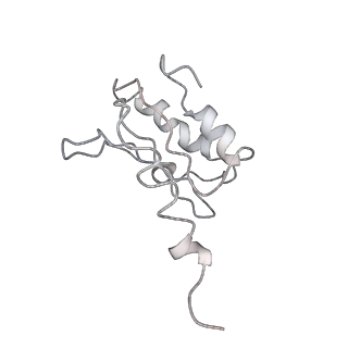 0104_6gzx_N2_v1-0
T. thermophilus hibernating 100S ribosome (ice)