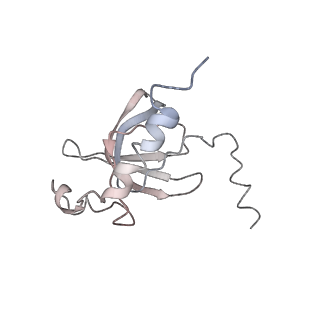 0104_6gzx_O1_v1-0
T. thermophilus hibernating 100S ribosome (ice)