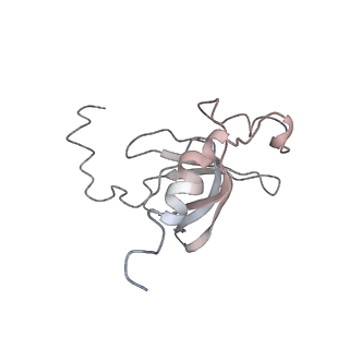0104_6gzx_O2_v1-0
T. thermophilus hibernating 100S ribosome (ice)