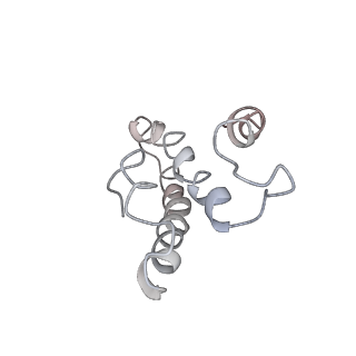 0104_6gzx_O4_v1-0
T. thermophilus hibernating 100S ribosome (ice)