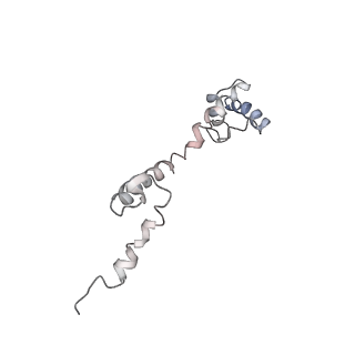 0104_6gzx_P1_v1-0
T. thermophilus hibernating 100S ribosome (ice)