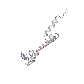 0104_6gzx_P2_v1-0
T. thermophilus hibernating 100S ribosome (ice)