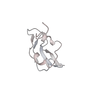 0104_6gzx_P3_v1-0
T. thermophilus hibernating 100S ribosome (ice)