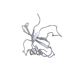 0104_6gzx_Q3_v1-0
T. thermophilus hibernating 100S ribosome (ice)