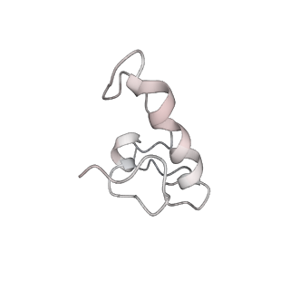0104_6gzx_R3_v1-0
T. thermophilus hibernating 100S ribosome (ice)