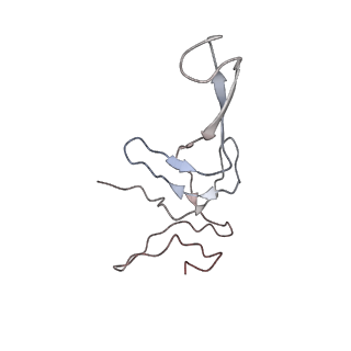 0104_6gzx_T1_v1-0
T. thermophilus hibernating 100S ribosome (ice)