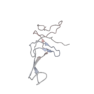 0104_6gzx_T2_v1-0
T. thermophilus hibernating 100S ribosome (ice)