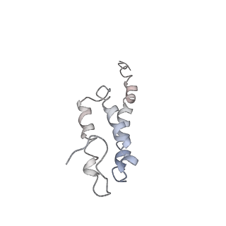 0104_6gzx_T3_v1-0
T. thermophilus hibernating 100S ribosome (ice)