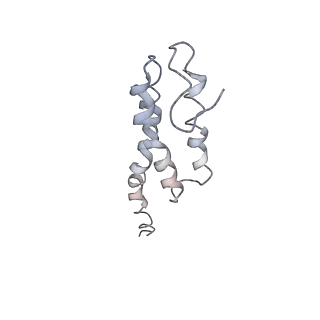 0104_6gzx_T4_v1-0
T. thermophilus hibernating 100S ribosome (ice)