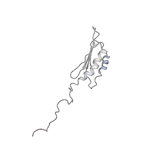 0104_6gzx_V3_v1-0
T. thermophilus hibernating 100S ribosome (ice)