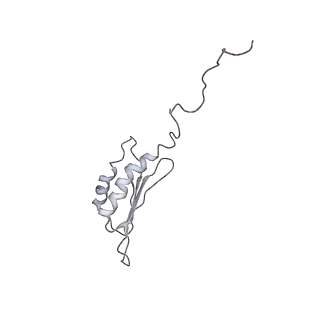 0104_6gzx_V4_v1-0
T. thermophilus hibernating 100S ribosome (ice)