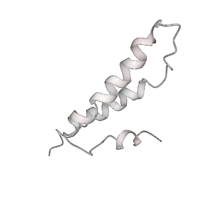 0104_6gzx_X1_v1-0
T. thermophilus hibernating 100S ribosome (ice)