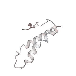 0104_6gzx_X2_v1-0
T. thermophilus hibernating 100S ribosome (ice)