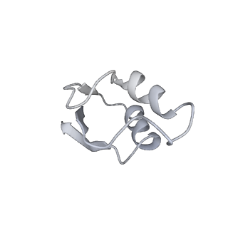 0104_6gzx_Y2_v1-0
T. thermophilus hibernating 100S ribosome (ice)
