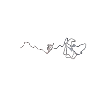 0104_6gzx_a1_v1-0
T. thermophilus hibernating 100S ribosome (ice)