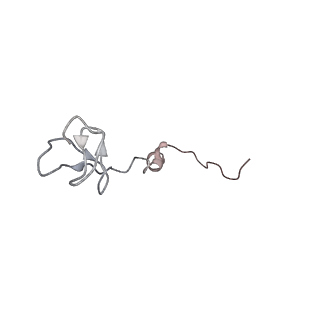 0104_6gzx_a2_v1-0
T. thermophilus hibernating 100S ribosome (ice)