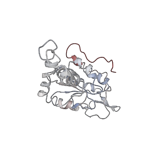 0105_6gzz_B4_v1-0
T. thermophilus hibernating 100S ribosome (amc)