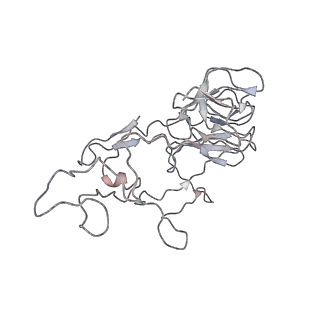 0105_6gzz_C2_v1-0
T. thermophilus hibernating 100S ribosome (amc)