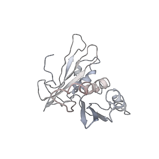 0105_6gzz_C3_v1-0
T. thermophilus hibernating 100S ribosome (amc)