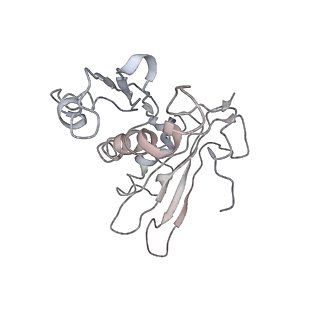 0105_6gzz_C4_v1-0
T. thermophilus hibernating 100S ribosome (amc)