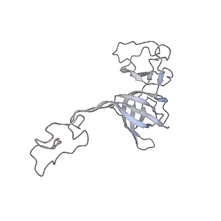 0105_6gzz_D1_v1-0
T. thermophilus hibernating 100S ribosome (amc)