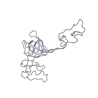 0105_6gzz_D2_v1-0
T. thermophilus hibernating 100S ribosome (amc)