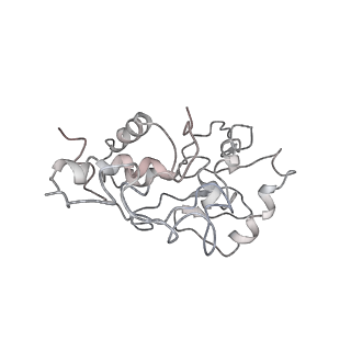 0105_6gzz_D3_v1-0
T. thermophilus hibernating 100S ribosome (amc)