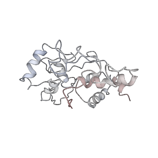 0105_6gzz_D4_v1-0
T. thermophilus hibernating 100S ribosome (amc)