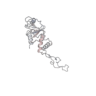 0105_6gzz_E1_v1-0
T. thermophilus hibernating 100S ribosome (amc)