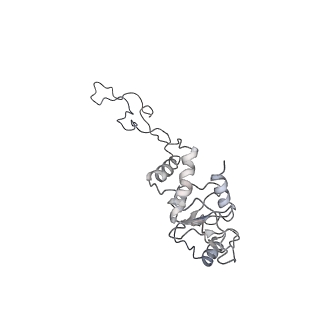 0105_6gzz_E2_v1-0
T. thermophilus hibernating 100S ribosome (amc)