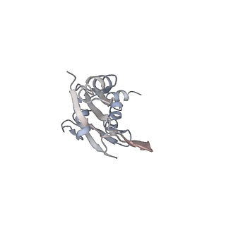 0105_6gzz_E4_v1-0
T. thermophilus hibernating 100S ribosome (amc)
