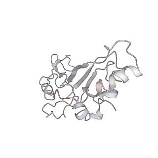 0105_6gzz_F1_v1-0
T. thermophilus hibernating 100S ribosome (amc)