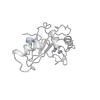 0105_6gzz_F2_v1-0
T. thermophilus hibernating 100S ribosome (amc)