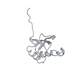 0105_6gzz_F4_v1-0
T. thermophilus hibernating 100S ribosome (amc)