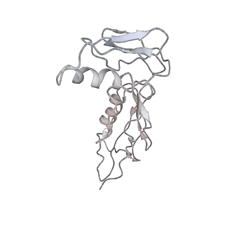 0105_6gzz_G1_v1-0
T. thermophilus hibernating 100S ribosome (amc)