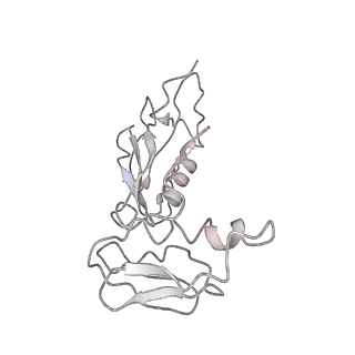 0105_6gzz_G2_v1-0
T. thermophilus hibernating 100S ribosome (amc)