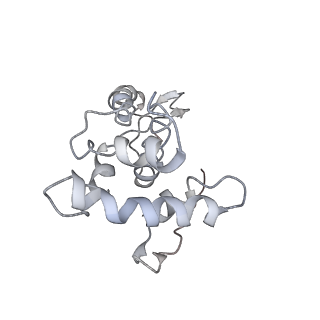 0105_6gzz_G3_v1-0
T. thermophilus hibernating 100S ribosome (amc)