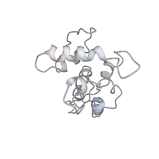 0105_6gzz_G4_v1-0
T. thermophilus hibernating 100S ribosome (amc)