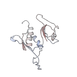 0105_6gzz_H3_v1-0
T. thermophilus hibernating 100S ribosome (amc)