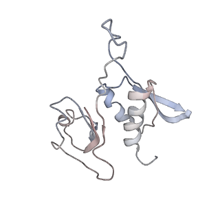 0105_6gzz_H4_v1-0
T. thermophilus hibernating 100S ribosome (amc)