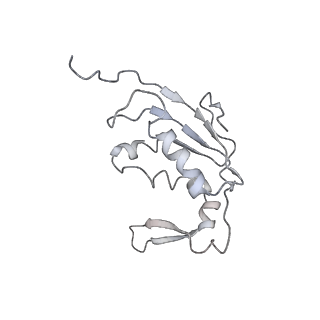 0105_6gzz_I1_v1-0
T. thermophilus hibernating 100S ribosome (amc)