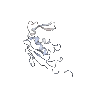 0105_6gzz_I2_v1-0
T. thermophilus hibernating 100S ribosome (amc)
