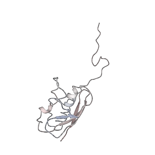 0105_6gzz_I3_v1-0
T. thermophilus hibernating 100S ribosome (amc)