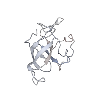 0105_6gzz_J1_v1-0
T. thermophilus hibernating 100S ribosome (amc)