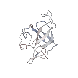 0105_6gzz_J2_v1-0
T. thermophilus hibernating 100S ribosome (amc)