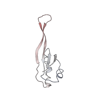 0105_6gzz_J3_v1-0
T. thermophilus hibernating 100S ribosome (amc)