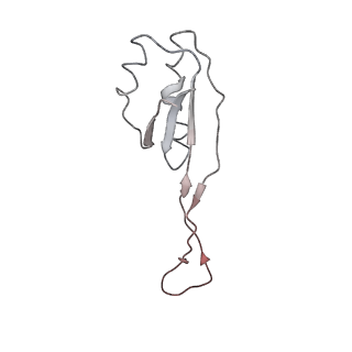 0105_6gzz_J4_v1-0
T. thermophilus hibernating 100S ribosome (amc)