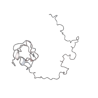 0105_6gzz_K1_v1-0
T. thermophilus hibernating 100S ribosome (amc)