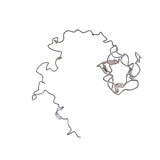 0105_6gzz_K2_v1-0
T. thermophilus hibernating 100S ribosome (amc)